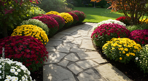 Serene Garden Path Lined With Vibrant Mums And Natural Stone Pathway