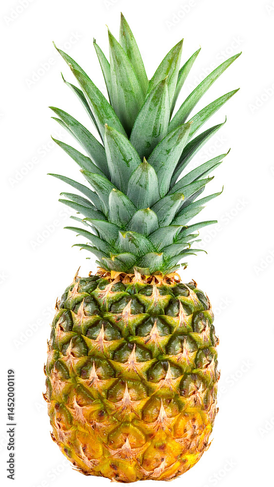 Fototapeta premium pineapple isolated on transparent background, png