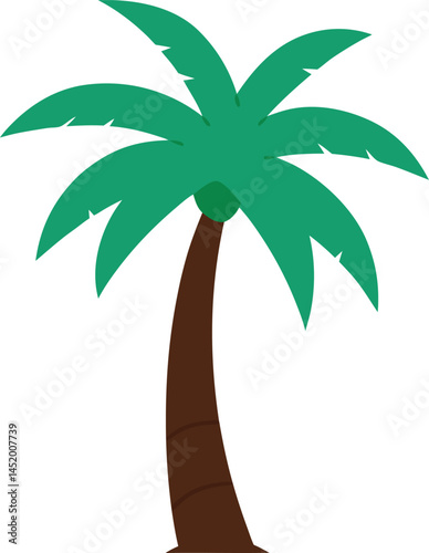 palm tree vector illustration