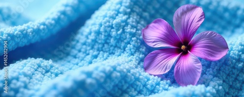 Soft blue terrycloth towel texture, violet flower detail , plush, beauty, room