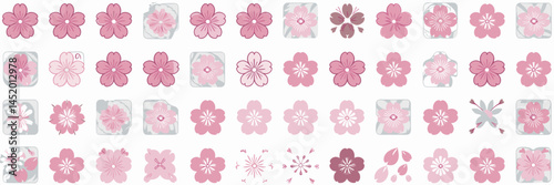 Vector sheet with icons of cherry blossoms in full bloom in various designs, including pink and white hues and scattered petals