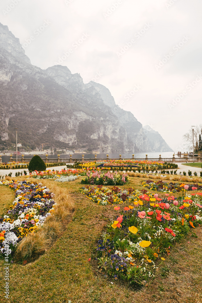Scenic garden by lake with blooming flowers