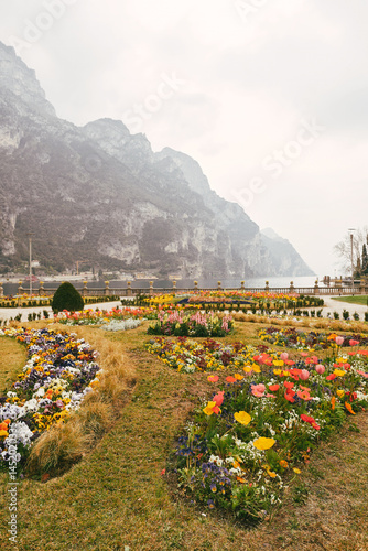Scenic garden by lake with blooming flowers