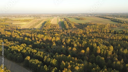 Obraz na płótnie Fall forest colors under setting sun w salonie