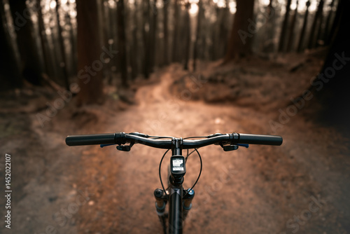 Exploring Forest Trails on a Mountain Bike. Cycling Through Nature.