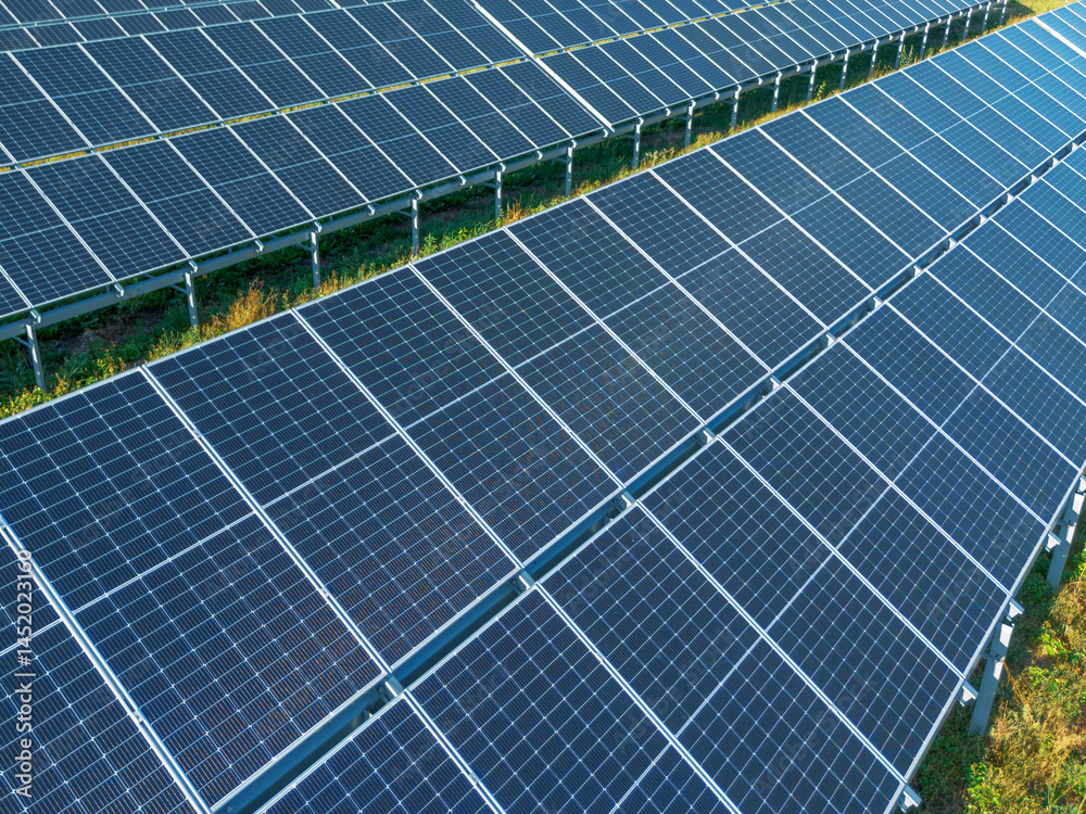 Rows of solar panels generating renewable energy outdoors