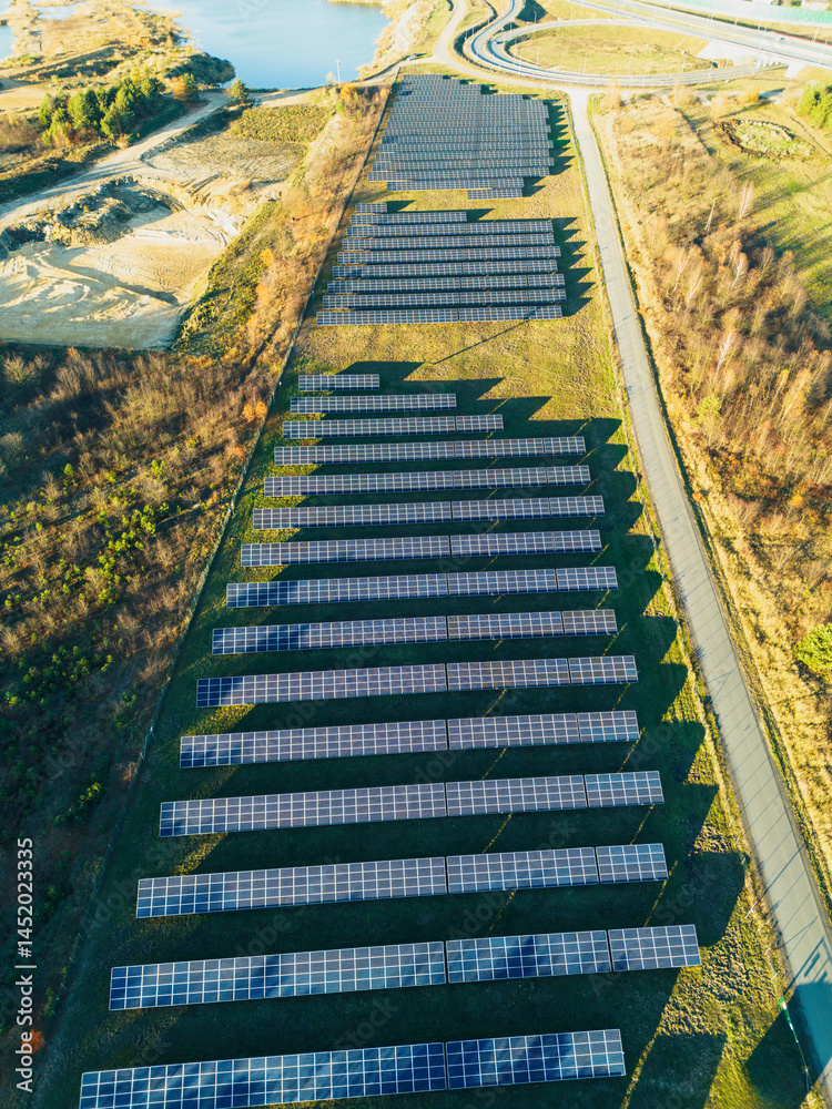 Rows of solar panels in sunlight
