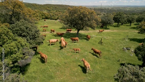 Flying Above A Natural Park In Madrid