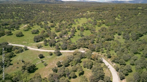 Flying By A Road At A Natural Park In Madrid
