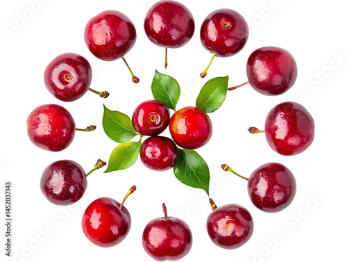 Fresh juicy Morello cherry fruits on white