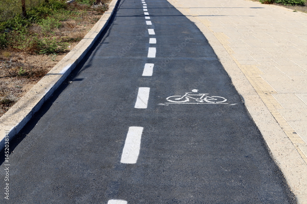 custom made wallpaper toronto digitalRoad markings on city streets in Tel Aviv.