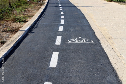 Wallpaper Mural Road markings on city streets in Tel Aviv. Torontodigital.ca