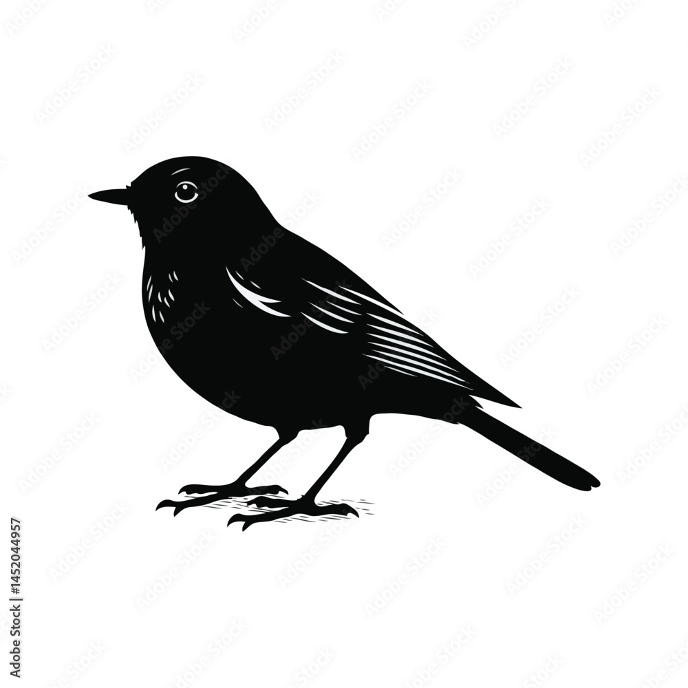 Bird silhouette on white background Bird silhouette on white background