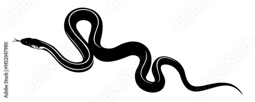snake vector illustration on white background 4