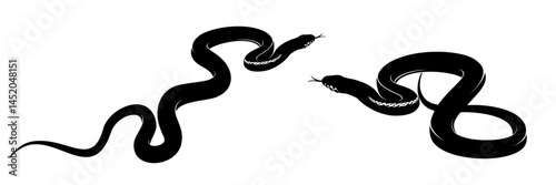 snake vector illustration on white background 8