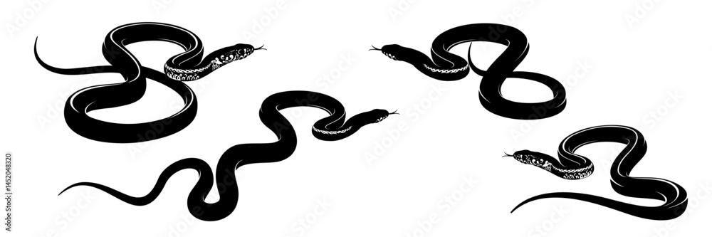 Fototapeta premium collection of snake vector illustrations