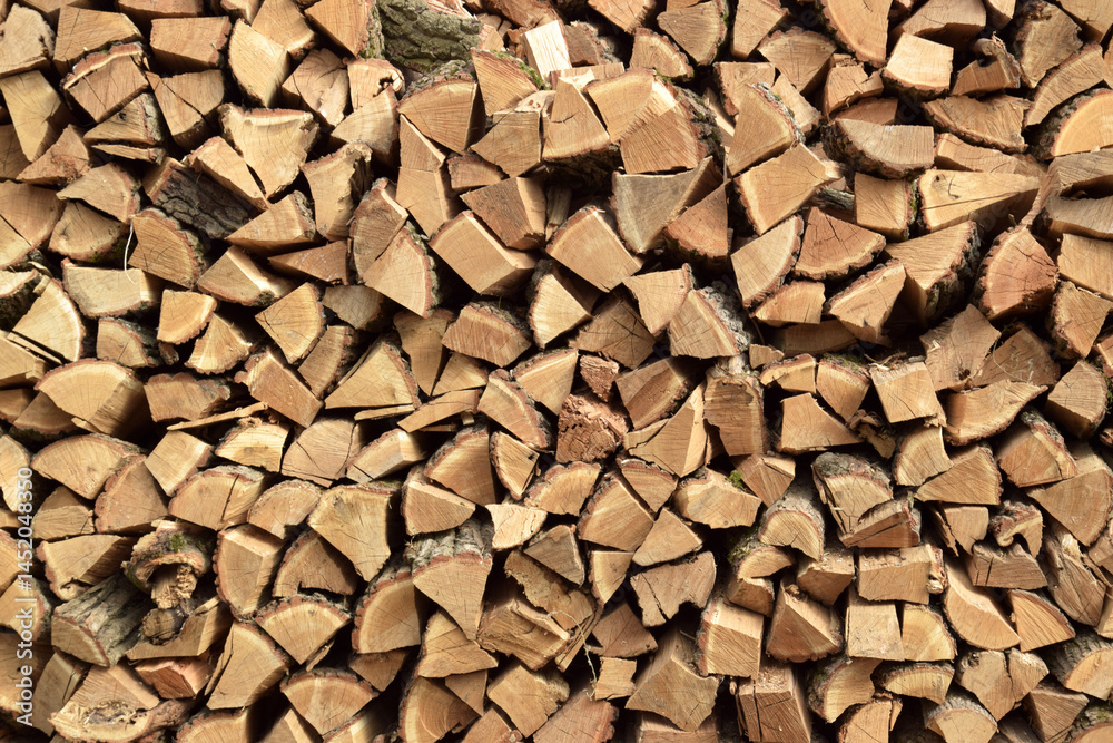 The chopped tree was piled in a pile. The chopped tree was piled in a pile.