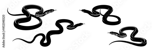 collection of snake vector illustrations
