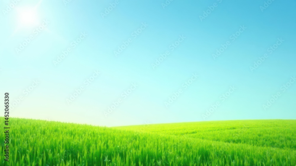 Obraz premium Serene Landscape Vibrant Green Field Under a Clear Blue Sky with Bright Sunshine