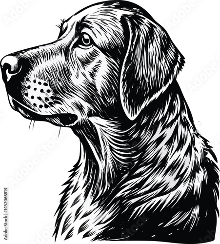 Black and White Illustration of a Labrador Retriever Dog Profile
