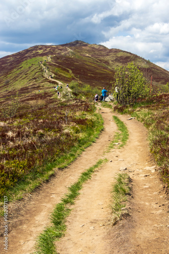 Fototapeta Naklejka Na Ścianę i Meble -  Hiking trail winding through hills in the Bieszczady Mountains, Poland. People enjoying the outdoors on a bright, cloudy day amid lush greenery.