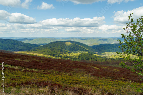 Fototapeta Naklejka Na Ścianę i Meble -  Stunning panoramic view of the Bieszczady Mountains under a blue sky, showcasing lush green hills and vibrant vegetation. Ideal for travel and nature themes.