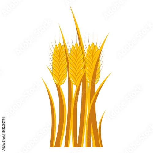 Bouquet of golden wheat ears on a white background. Vector.