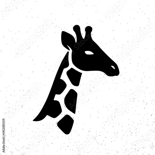 giraffe on white background