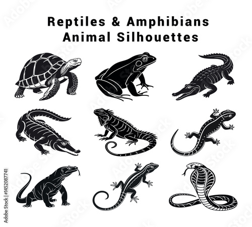 Silhouettes of Reptiles and Amphibians, Stylized Reptilian and Amphibian Artwork