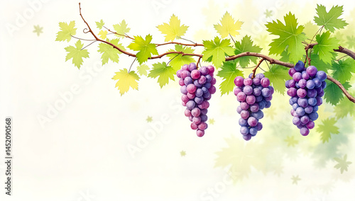 Grapes on a vine, watercolor style, green and purple, wine celebration background  