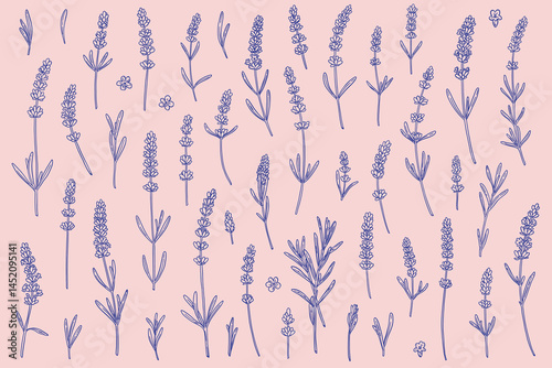 set of lavender flowers of different shapes in linear style