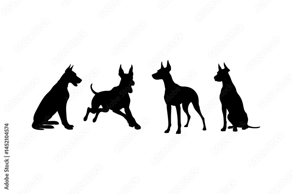 Naklejka premium great dane dog silhouette set pose stance