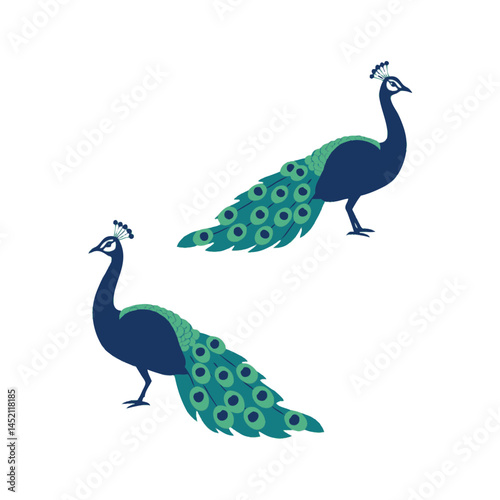 Elegant Peacocks Standing Vector Illustration