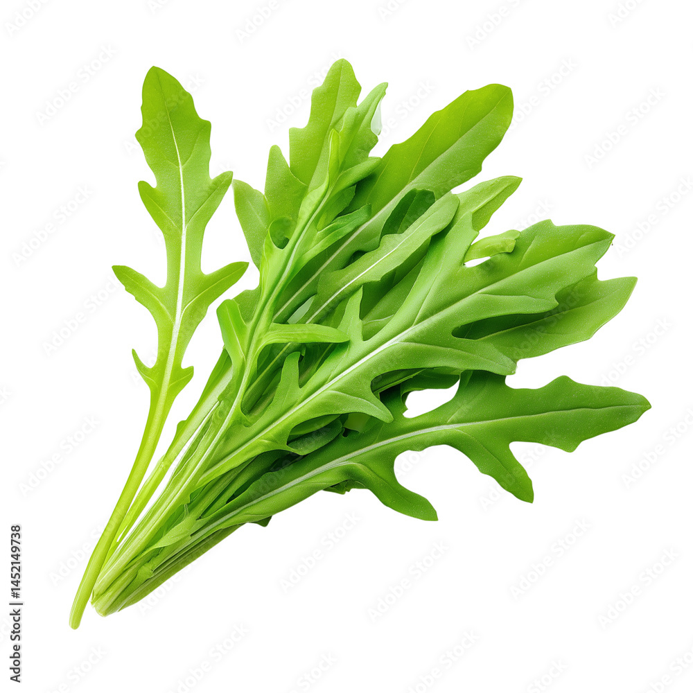 Fresh arugula leaves on white background