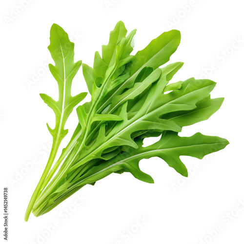 Obraz na płótnie Fresh arugula leaves on white background w salonie