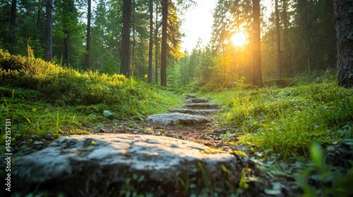 A stone pathway winds through a vibrant green forest, bathed in warm sunset light, inviting exploration and evoking feelings of adventure and peace in nature. photo