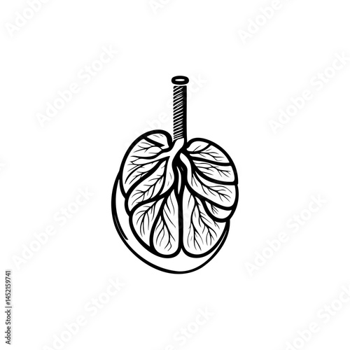 Stylized pulmonary illustration showing healthy lungs anatomical concept image