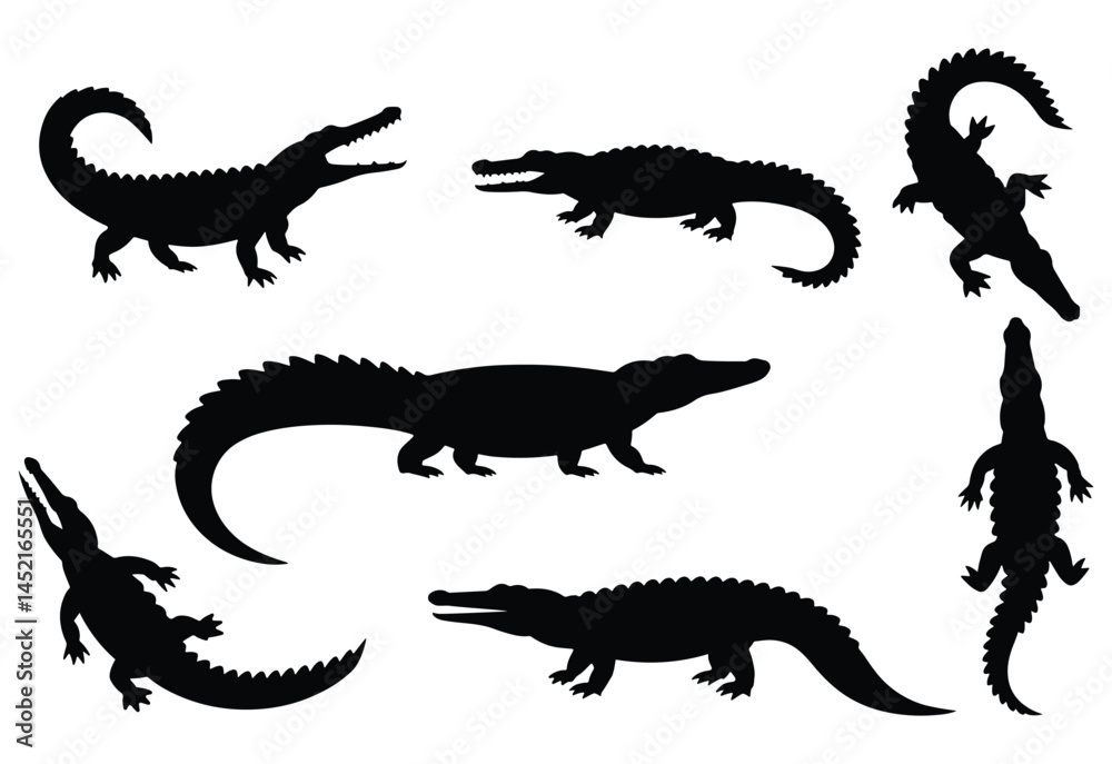 Fototapeta premium Alligator and crocodile silhouette. Crocodile silhouette on a white background.