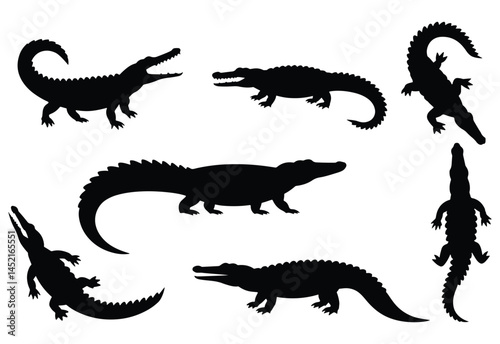 Alligator and crocodile silhouette. Crocodile silhouette on a white background.