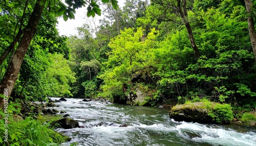 Gambar Hutan Sungai Menyegarkan