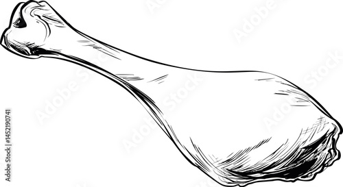 Illustration of a detailed black and white chicken drumstick sketch. Vector illustration.