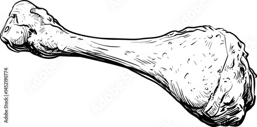 Black and white line art of a detailed chicken drumstick drawing. Vector illustration.