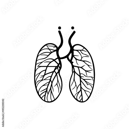 Conceptual lungs illustration showing respiratory system health and functions