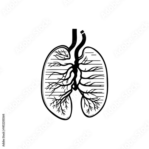 Stylized illustration of healthy lungs, depicting respiratory system clarity