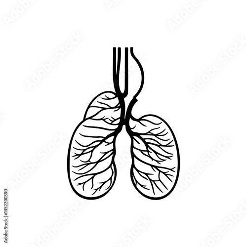 Minimalist anatomical rendition: pulmonary architecture in linear representation