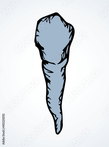 The layout of tooth. Vector drawing