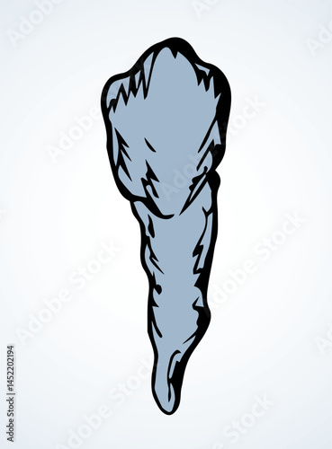 The layout of tooth. Vector drawing
