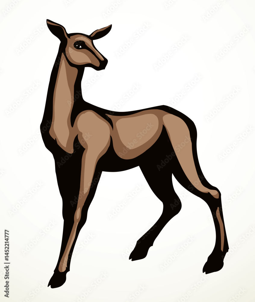 Fototapeta premium Beautiful female deer. Vector drawing