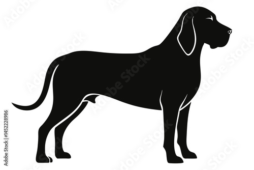 bloodhound sihouette black vector