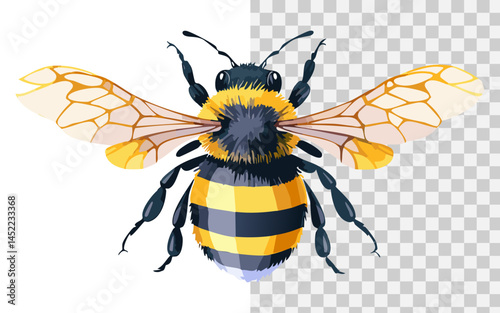  A vector illustration of bee cartoon with accurate anatomical detail